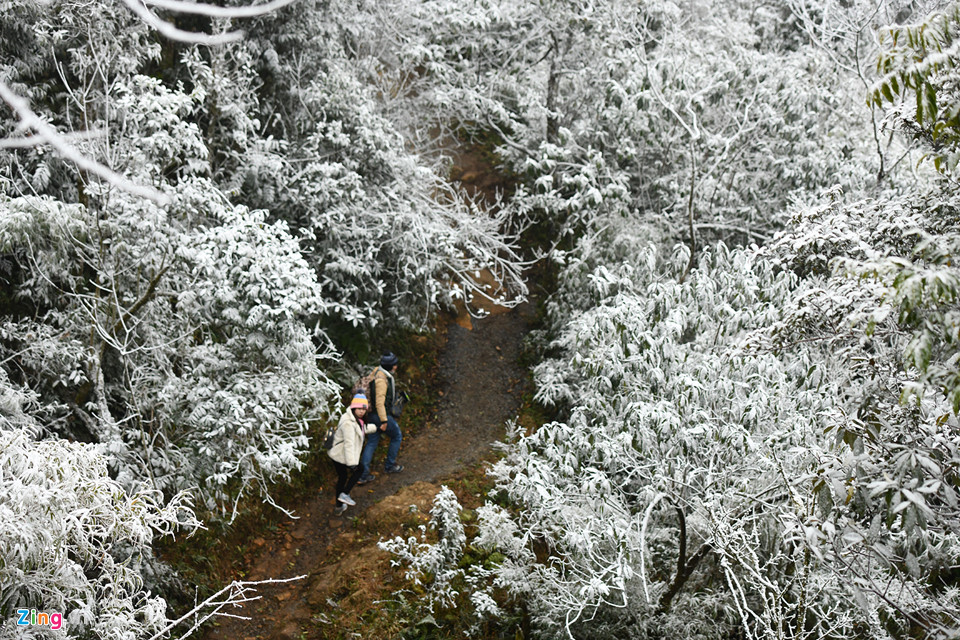 Toàn cảnh tuyết bao phủ trắng đường lên Sa Pa